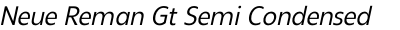 Neue Reman Gt Semi Condensed Italic